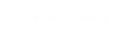 Kleine Galerie